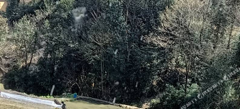 元阳县远山田舍民宿(多依树景区店)图片