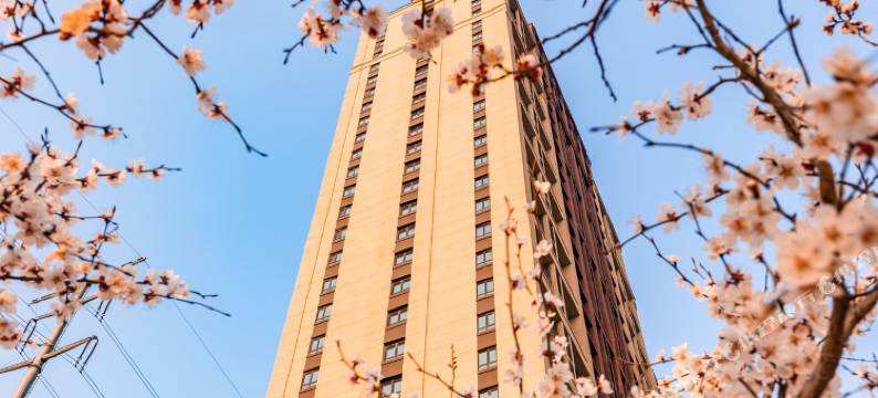 橙途FX108143民宿(宽达路分店)图片