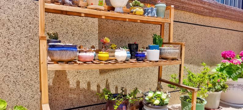 嵊泗嵊飞小庄图片