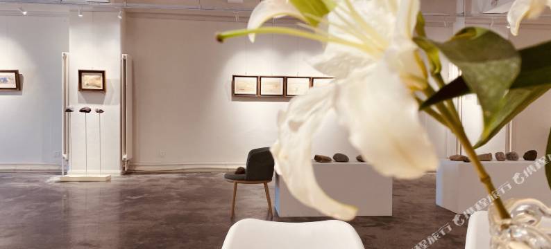 银川美瑞·悦酒店(鼓楼步行街玉皇阁店)图片