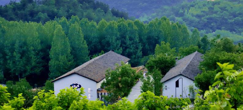 童话谷天空宿集图片