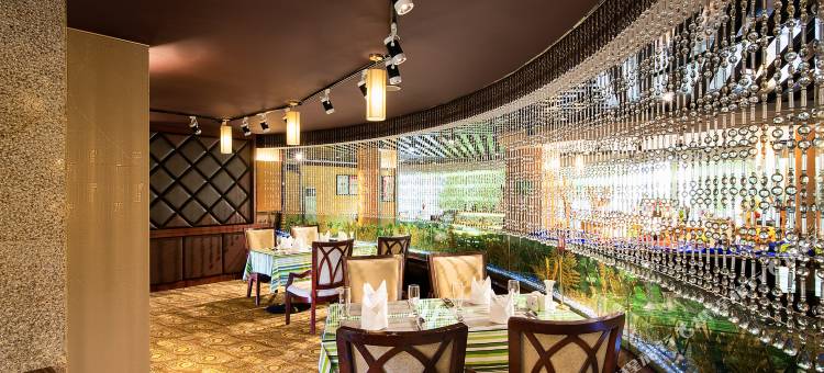 拉萨饭店贵宾楼图片