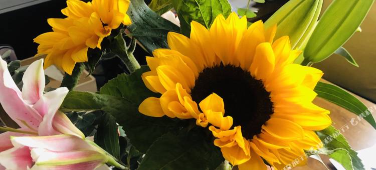 凯里亚德酒店(常德步行街店)图片