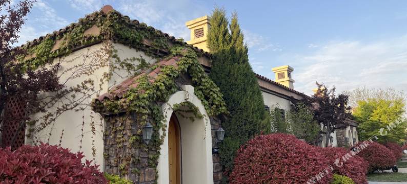 烟台云瑾阁民宿(养马岛店)图片