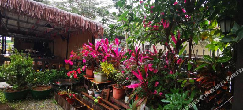 爱骑行民宿图片