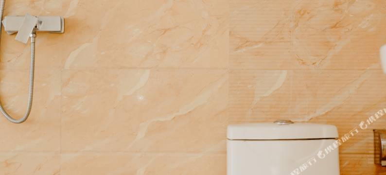 义县华天大酒店(奉国寺店)图片