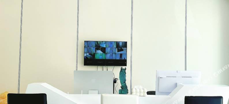 陌野轩民宿(文成公主剧场店)图片