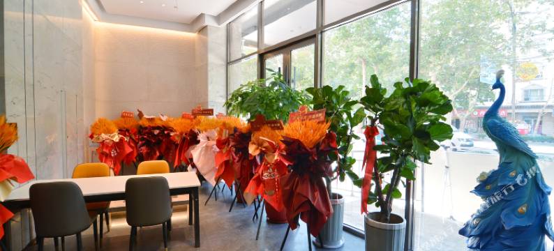 含舍·美素国际酒店(喀什疏勒解放东路店)图片