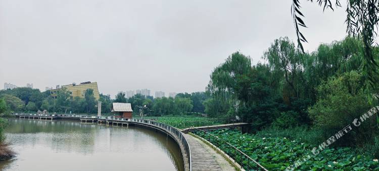 德州微排万信瑞铂酒店图片