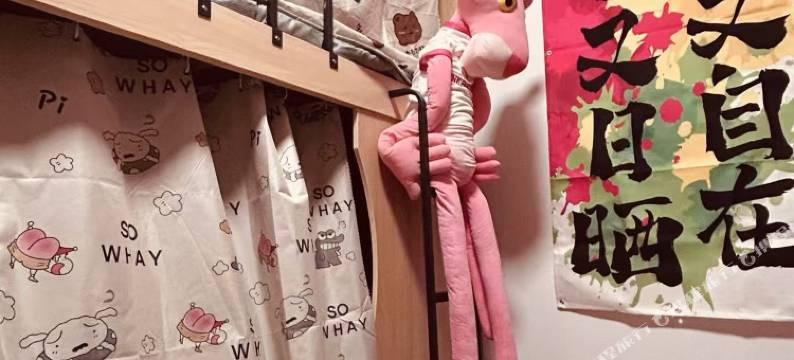 背包客青年旅舍(裕后街店)图片