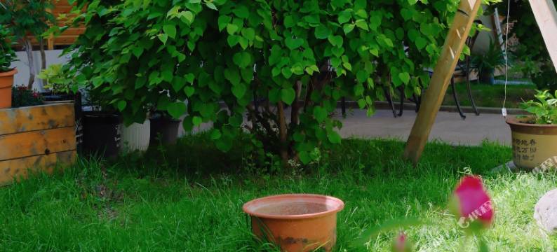 伊宁一舍一界民宿图片