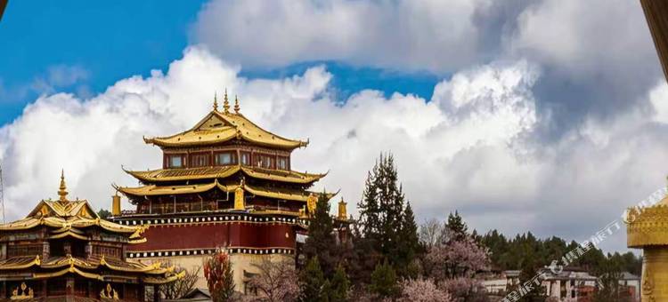 风吟月驿｜Windmoon富氧美宿(独克宗古城大佛寺转经筒店)图片