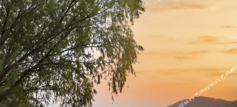 南京紫金山庄图片