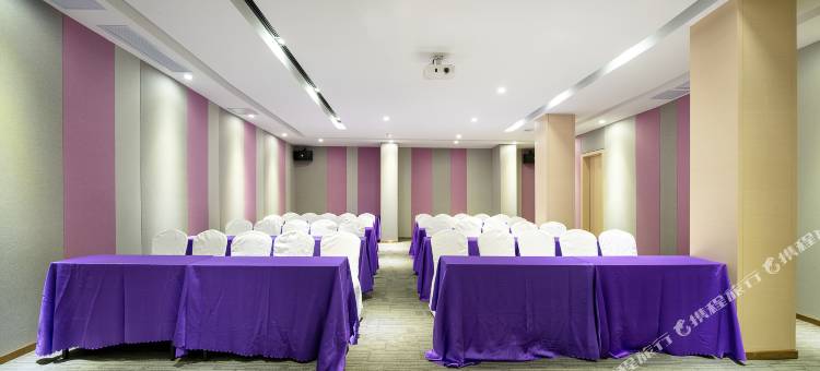 麗枫酒店(湛江高铁西站店)图片