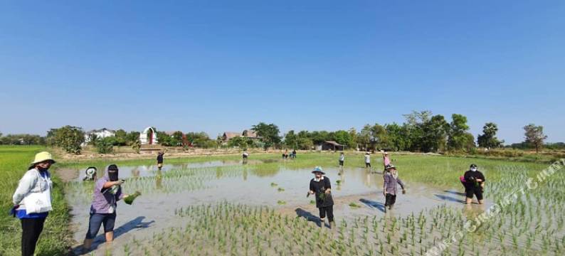 素可泰珍宝度假酒店&Spa(Sukhothai Treasure Resort and Spa)图片