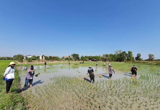 Sukhothai Treasure Resort and Spa Hotel Overview
