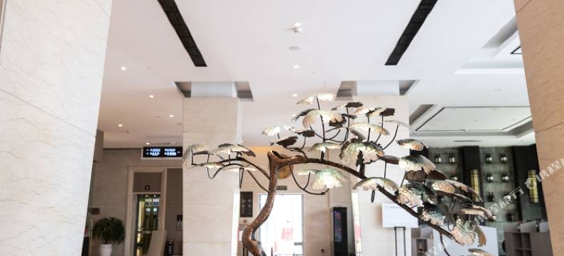 泰安丽景广场酒店(泰山景区天外村店)图片