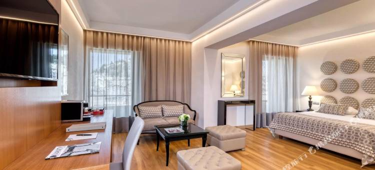 迪瓦尼宫卫城酒店(Divani Palace Acropolis)图片