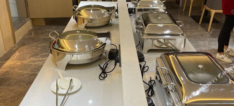 高安维也纳铂金酒店图片