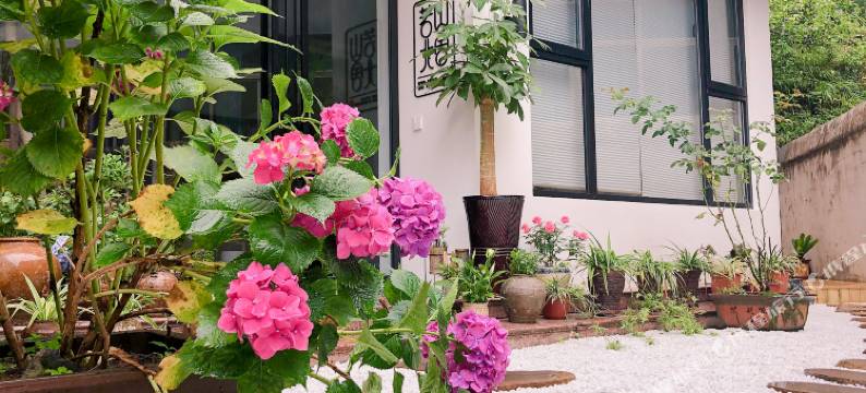 雁荡山若山北舍民宿图片