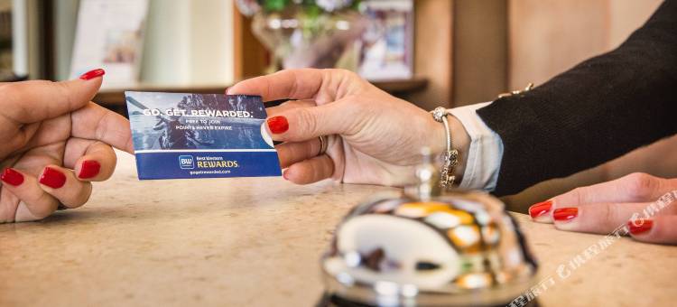 提田威尼斯机场贝斯特韦斯特酒店(Best Western Titian Inn Hotel Venice Airport)图片