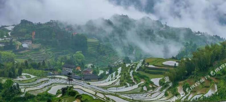 云梯小筑·中式原木风观山景休闲度假 Villa 民宿(云和梯田景区店)图片