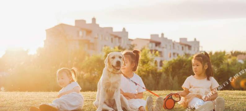北戴河新区犬舍酒店图片