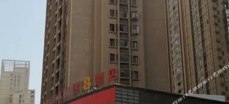 锦鲤.好久不见青年旅舍图片