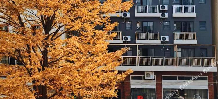 佛山ToDayFloral雅舍(大良凤城食都店)图片