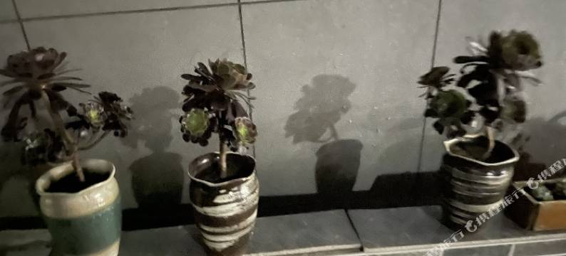 泰安爱心客栈(红门游客中心店)图片