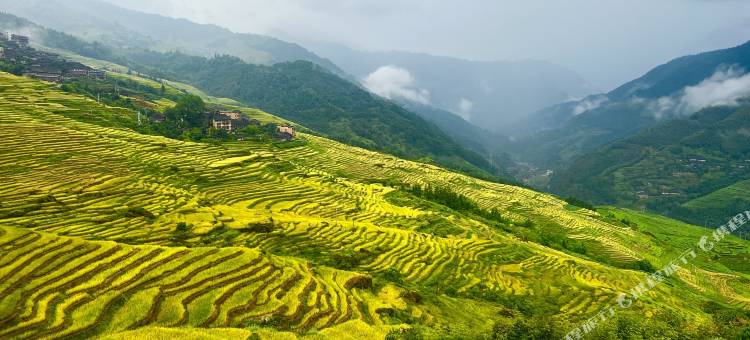 龙脊·云七民宿(龙脊二号观景台店)图片