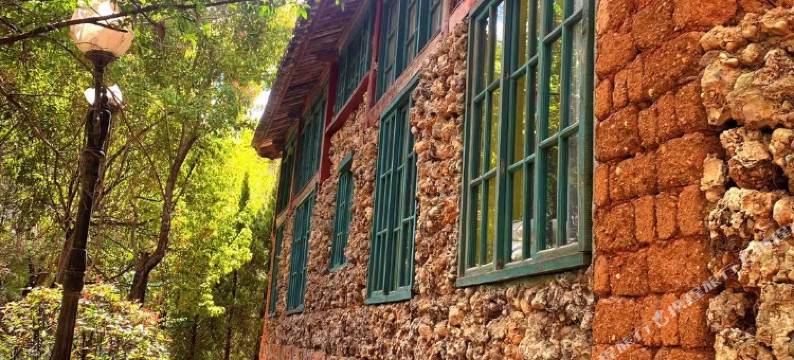 Cozy一二小栈·一隅清欢花园度假美宿(丽江古城大水车店)图片