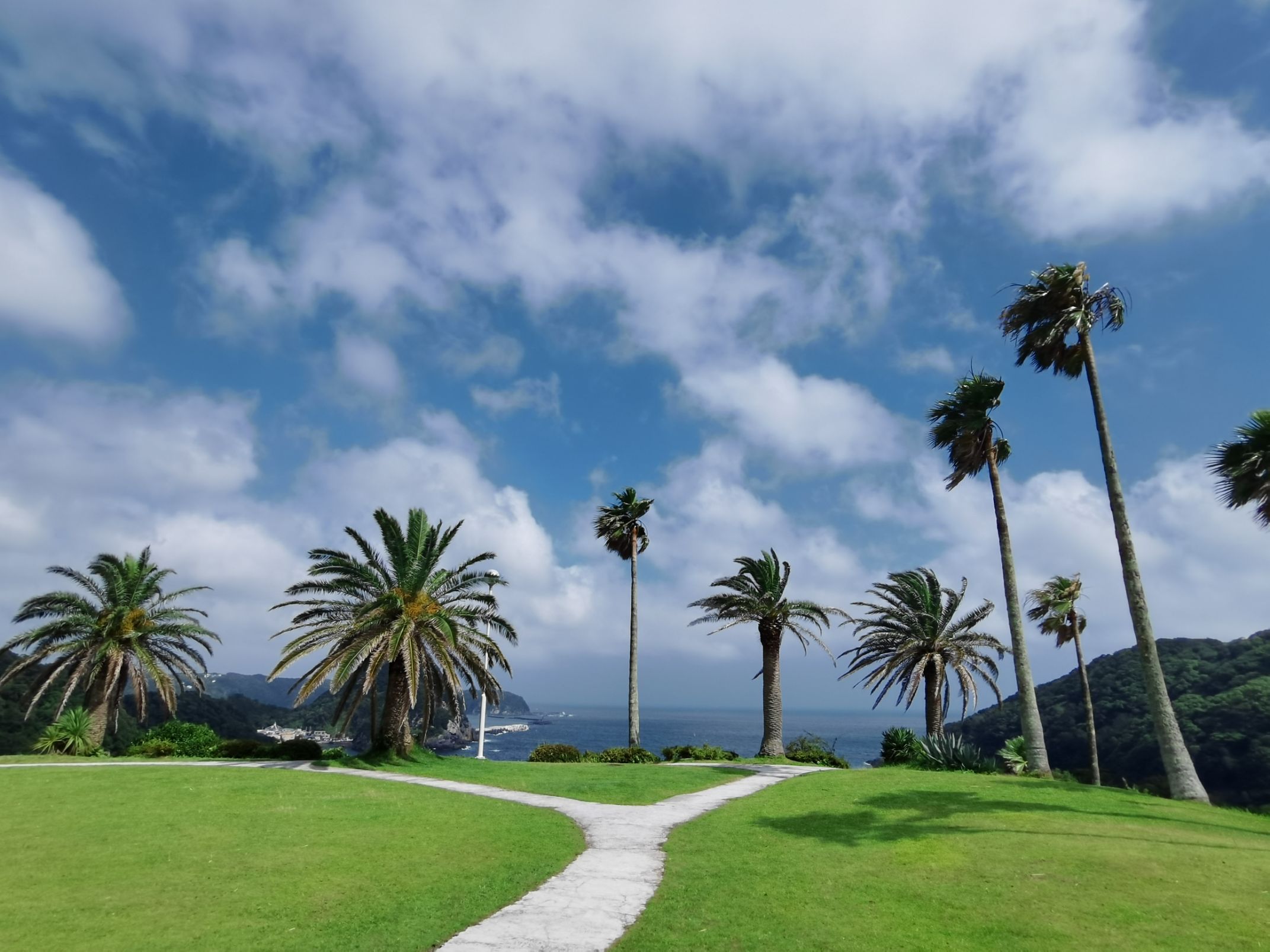 非常不错的海景酒店！房间直面大海，坐在房间看海就已经够了。酒店还有大花园，泳池，可步行到沙滩，晚上泡