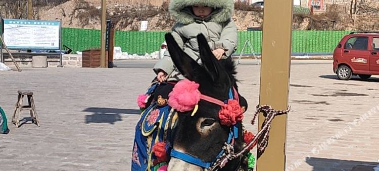 临县李家山凤凰农家乐图片