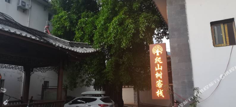 鸡足山爬山树客栈图片