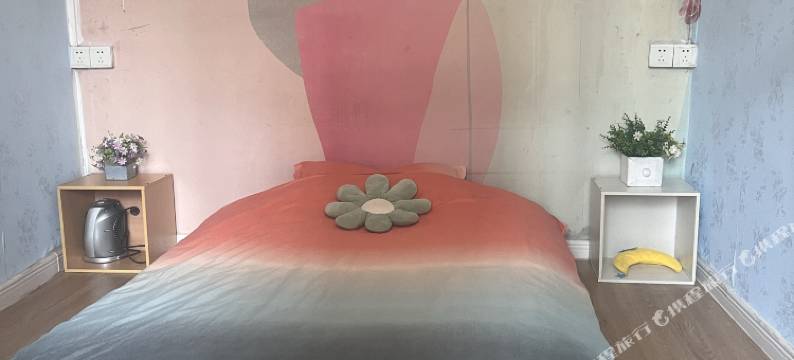 小玲姐青年公寓(公园前地铁站店)图片