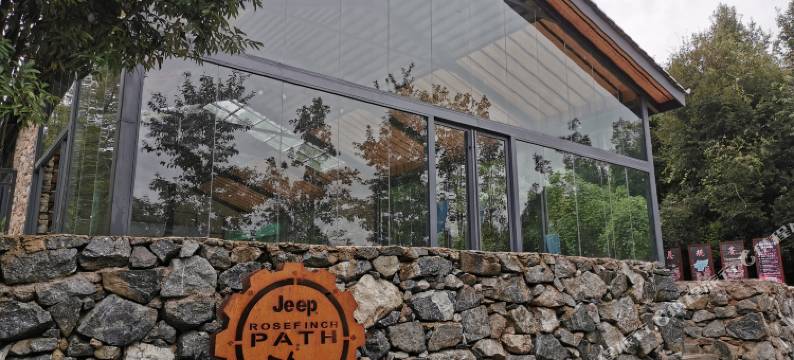 滇缅国际雨林自驾营地图片