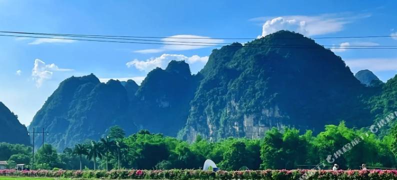 大新明仕涵舍民宿(明仕田园店)图片