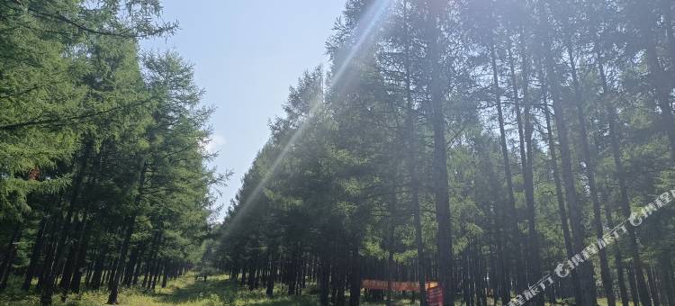 龙岩山水情缘民宿图片