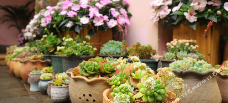 芒市星途民宿(芒市广场店)图片