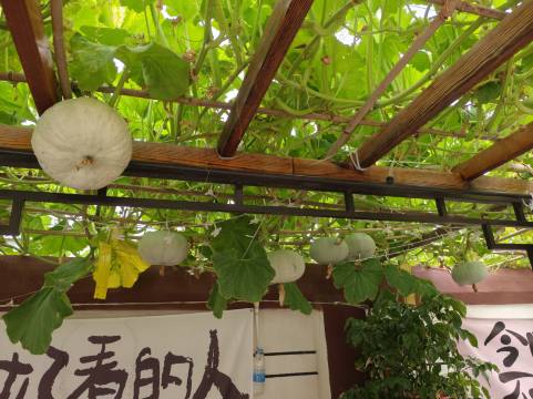 精河如你所院民宿图片