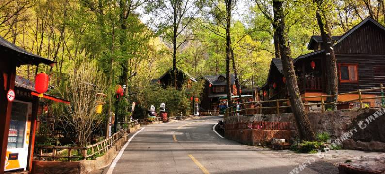 西峡老界岭避暑山庄图片