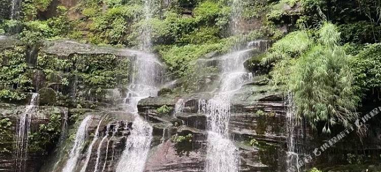邛崃天来悦山庄(萤火虫山谷景区店)图片
