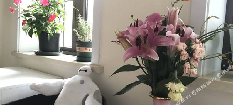 青岛地中海小胖公寓图片