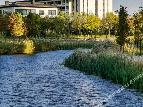许昌瑞贝卡芙蓉園酒店(芙蓉湖地铁站店)