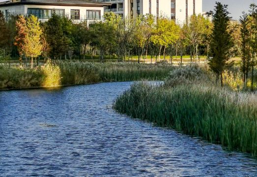 许昌瑞贝卡芙蓉园酒店（芙蓉湖地铁站店）外景图