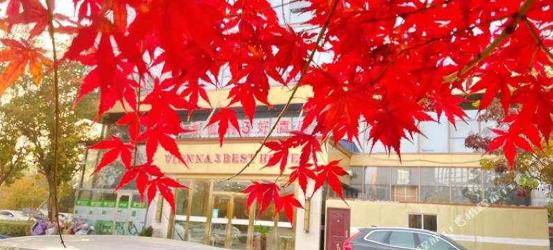 维也纳3好酒店(徐州新城店)图片