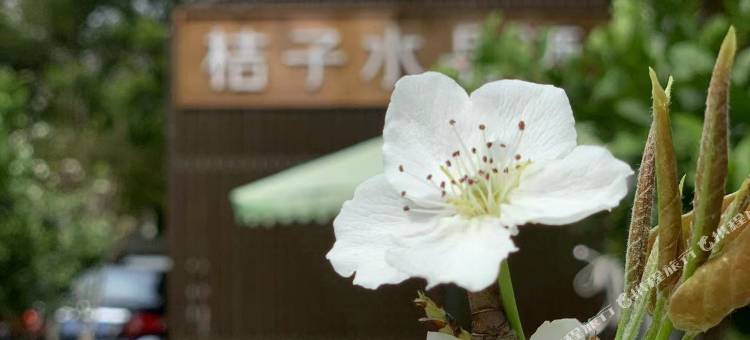 杭州浙大紫金港文一西路桔子水晶酒店图片