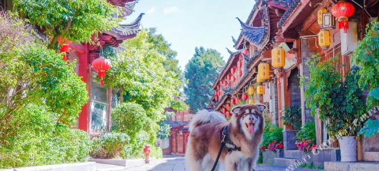 安隐私人庭院·Anyin Private Courtyard(丽江阳光院店)图片