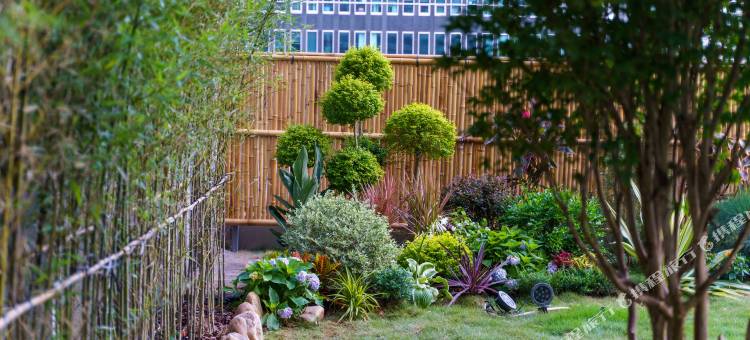 深圳福田岚珊酒店(福田站店)图片